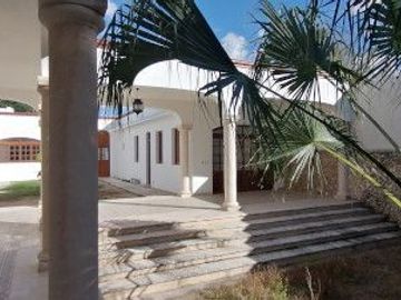 place photo 38
