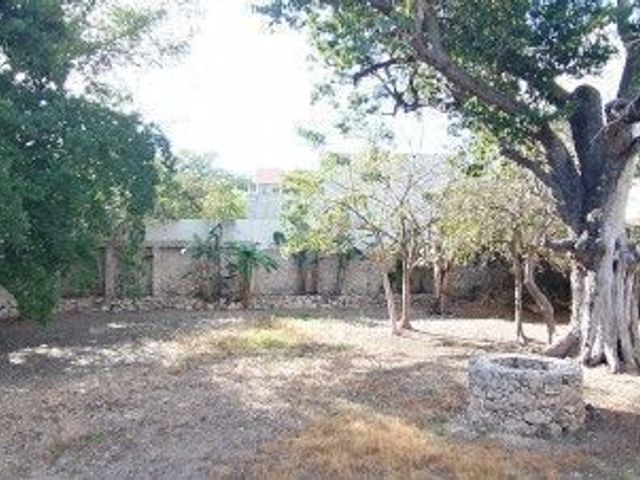place photo 37