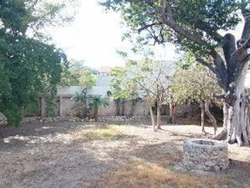 place photo 37