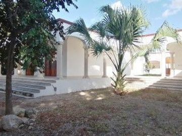 place photo 39