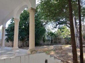 place photo 30