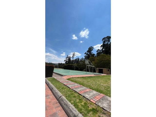 place photo 44