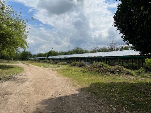 place photo 16