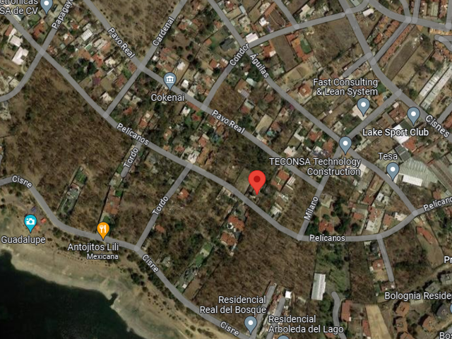 place photo 3