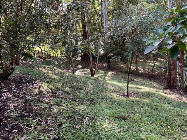 place photo 58