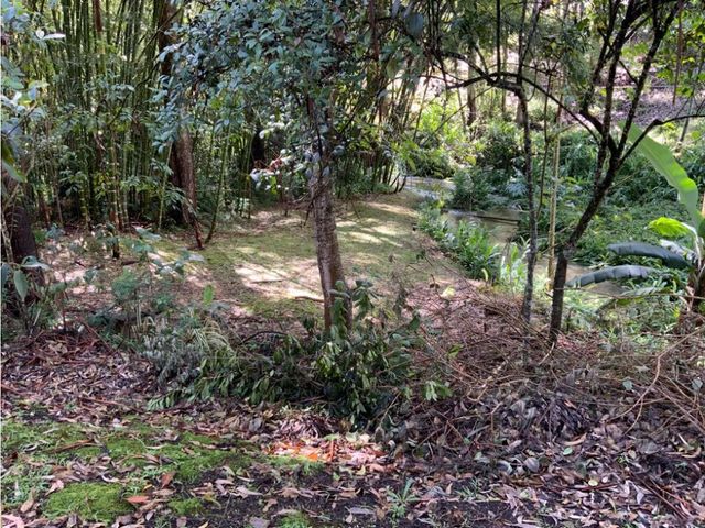 place photo 59