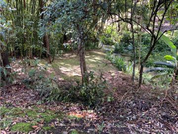 place photo 59