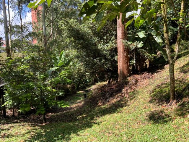 place photo 57