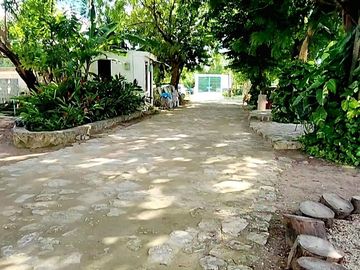 place photo 15