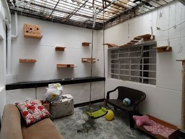 place photo 29