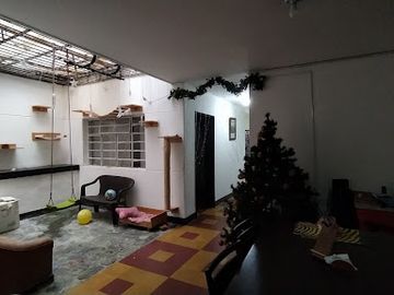 place photo 19