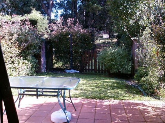 place photo 26