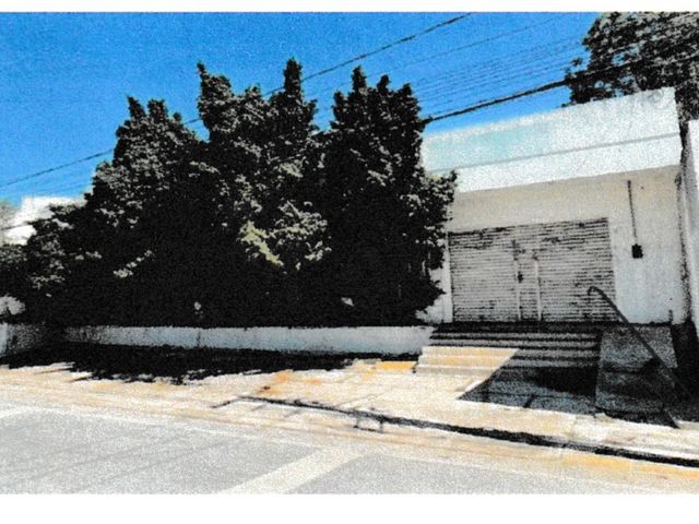 place photo 16