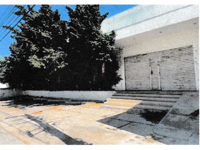 place photo 15