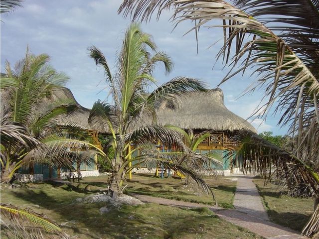 place photo 29