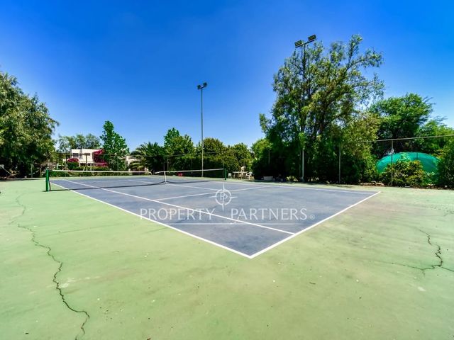 place photo 23