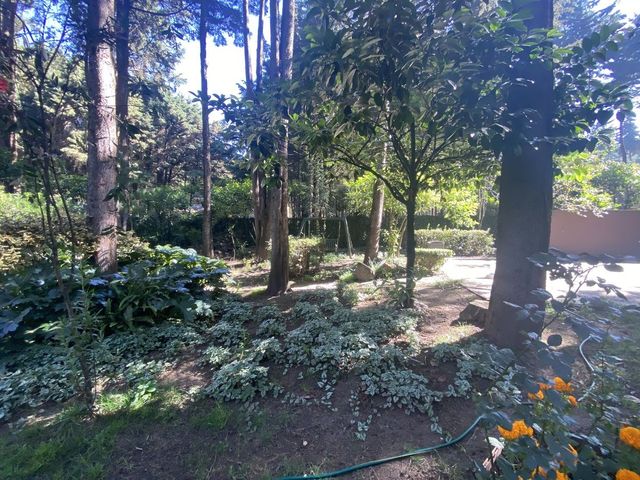 place photo 49