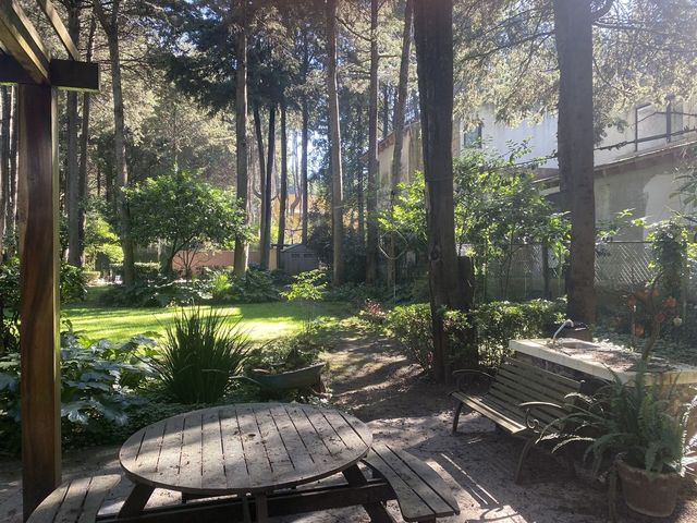 place photo 45