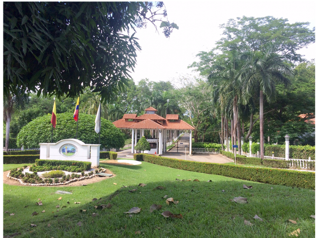place photo 22
