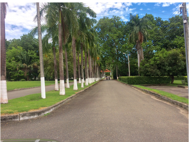 place photo 24