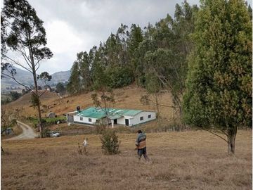 place photo 49