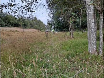 place photo 47