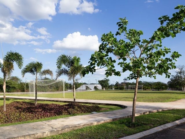 place photo 9