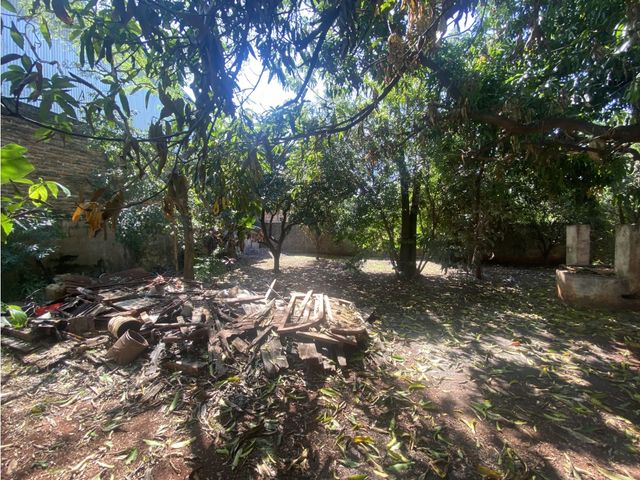 place photo 29