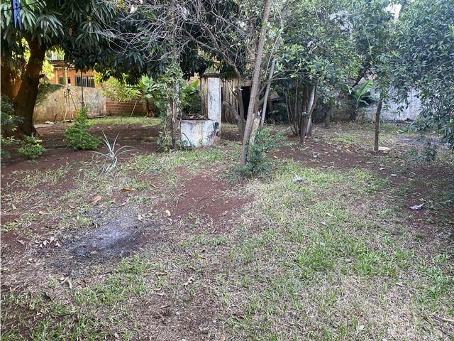place photo 28