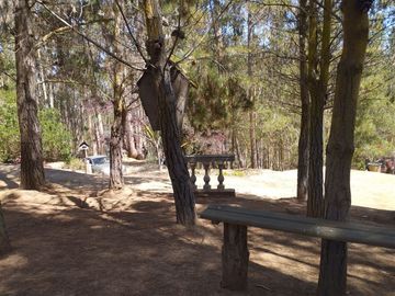 place photo 27