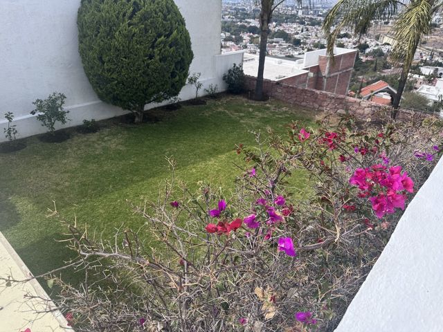 place photo 47