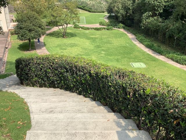 place photo 36