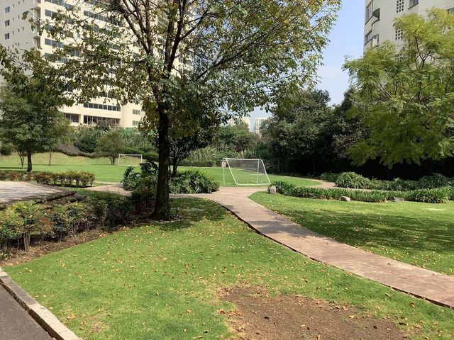place photo 31