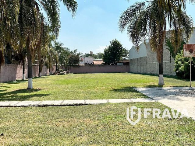 place photo 18