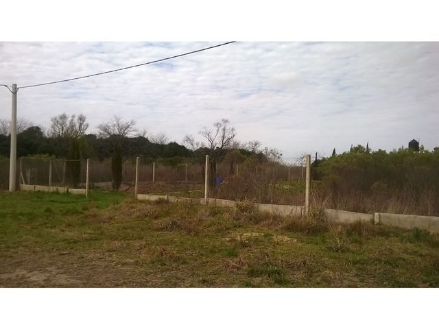 place photo 16