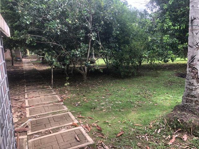 place photo 47