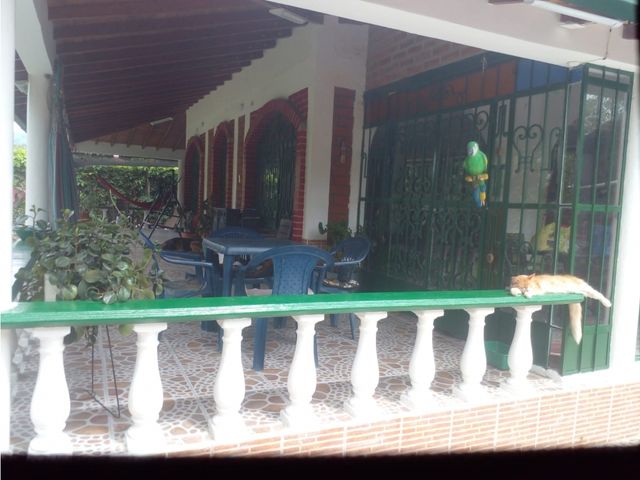 place photo 14