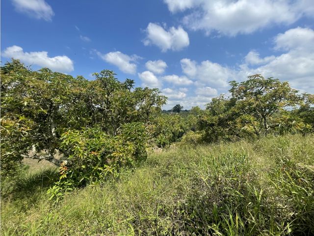 place photo 64