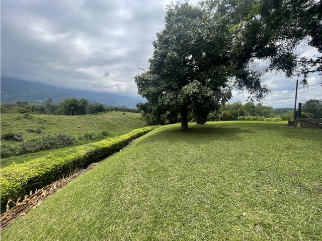 place photo 62