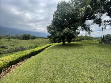 place photo 62
