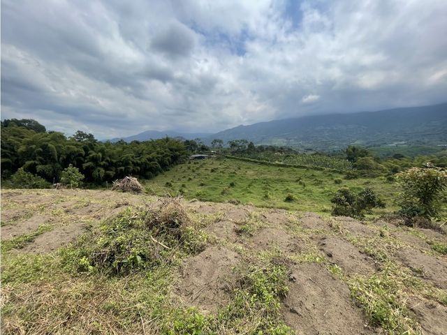 place photo 49