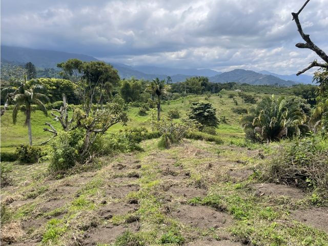 place photo 61