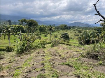 place photo 61