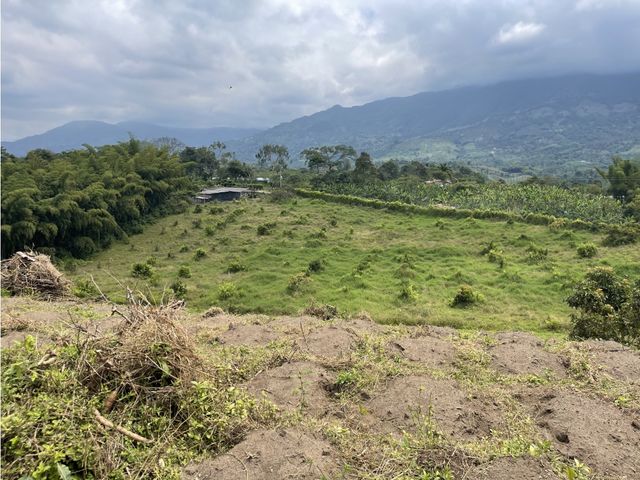 place photo 53