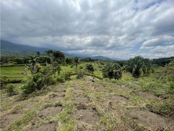 place photo 47