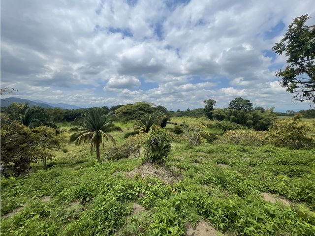 place photo 43