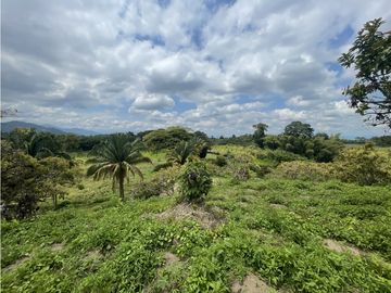 place photo 43