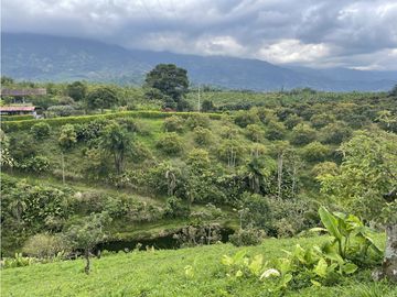 place photo 58