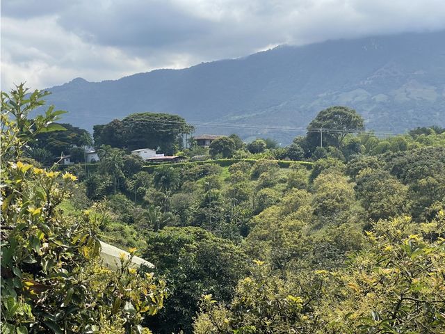 place photo 56