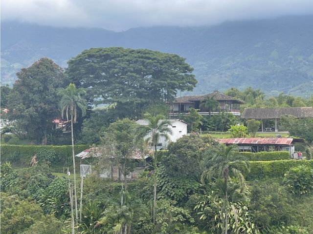 place photo 51
